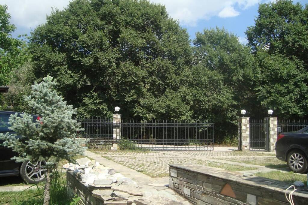 Ileana'S House Διαμέρισμα Βόλος Εξωτερικό φωτογραφία