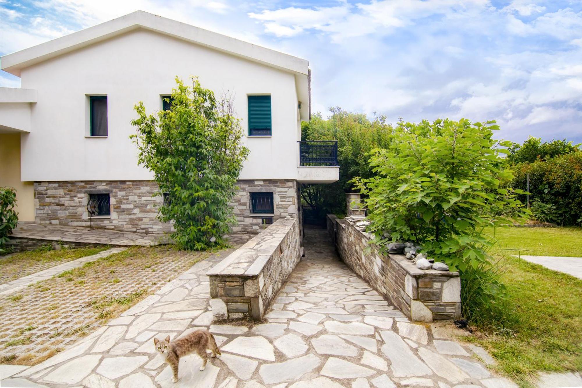 Ileana'S House Διαμέρισμα Βόλος Εξωτερικό φωτογραφία